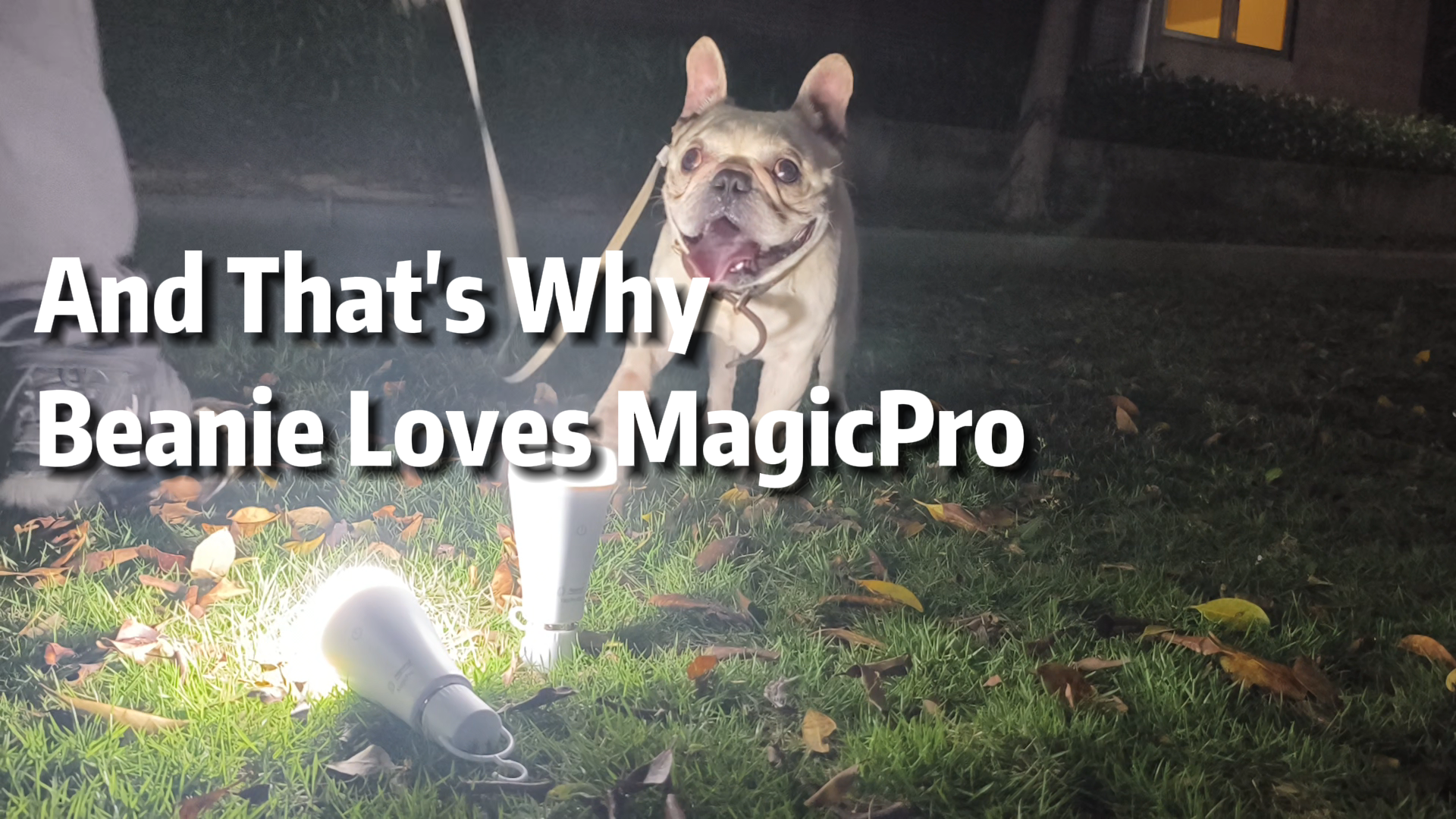 Load video: Neporal MagicPRO rechargeable light bulbs