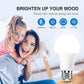 Neporal Full Spectrum Light Bulb, 6000K Natural Sunlight Bulbs