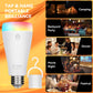 Neporal MAGICPRO Smart Rechargeable Light Bulbs with Remote