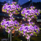 Neporal Solar Garden Lights Outdoor Waterproof IP65, Dusk to Dawn Purple Carnation