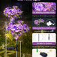 Neporal Solar Garden Lights Outdoor Waterproof IP65, Dusk to Dawn Purple Carnation