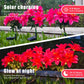 Neporal Solar Flowers Outdoor Waterproof Pink, 4PK 7-Stem Garden Solar Lights Decorative, 2 Lighting Modes, Solar Powered Garden Decor, Solar Yard Decor