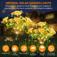 Neporal Solar Lights Outdoor Decorative, Solar Garden Lights with Carnation Flower