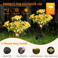 Neporal Solar Lights Outdoor Decorative, Solar Garden Lights with Carnation Flower