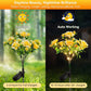 Neporal Solar Garden Lights Outdoor Dusk to Dawn, Carnation Solar Flowers Outdoor Waterproof IP65