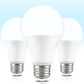 Neporal Full Spectrum Light Bulb 3 Brightness Cool White Happy Light Bulbs Natural Sunlight Bulbs Sunlike Light Bulb A19 6000K E26/E27 Pack of 3
