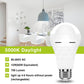 Neporal 【Dedicated to 220V】A19 Emergency Rechargeable Light Bulbs, 60 Watt Equivalent, 5000K Daylight, 1200mAh Battery Backup