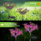 Solar Lights Outdoor Garden Decorative, 2 Pack Solar Powered Phalaenopsis Flowers Lights Design, Upgraded Garden Solar Lights Waterproof IP65, Solar Garden Decorations for Garden, Yard Decor